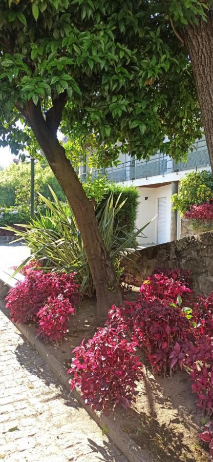 Pensao Continental Machado Hotel กัลเดลาส ภายนอก รูปภาพ
